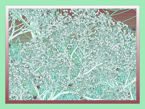 Entangled #211