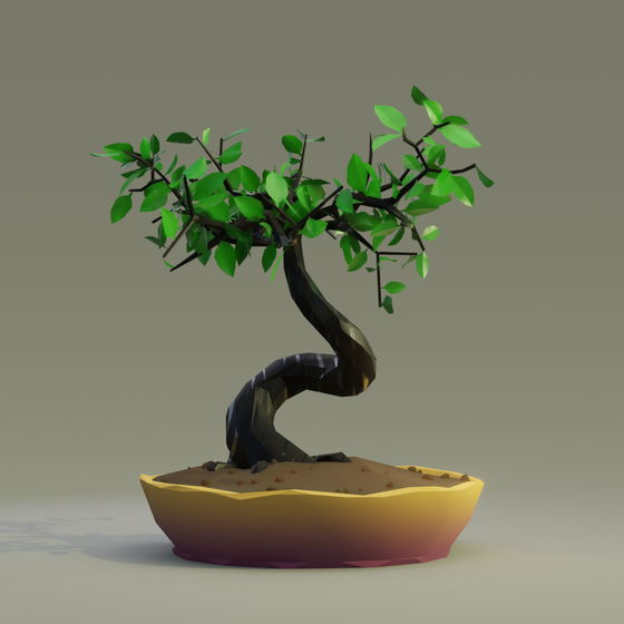 Bonsai #6051