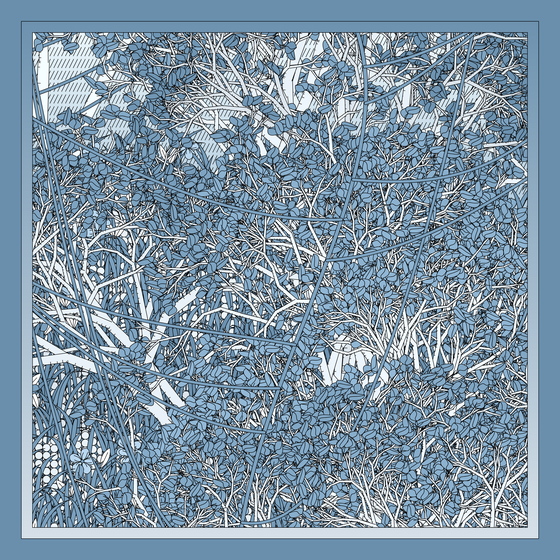 Entangled #106
