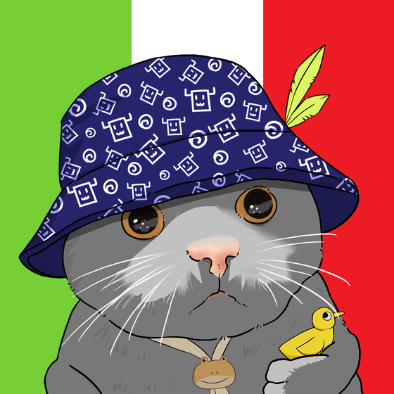 Puzzled cat #339