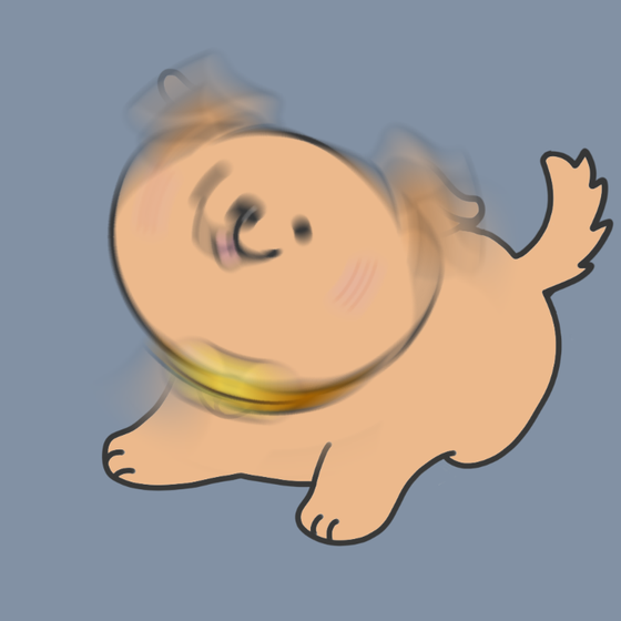 DogDrill#698