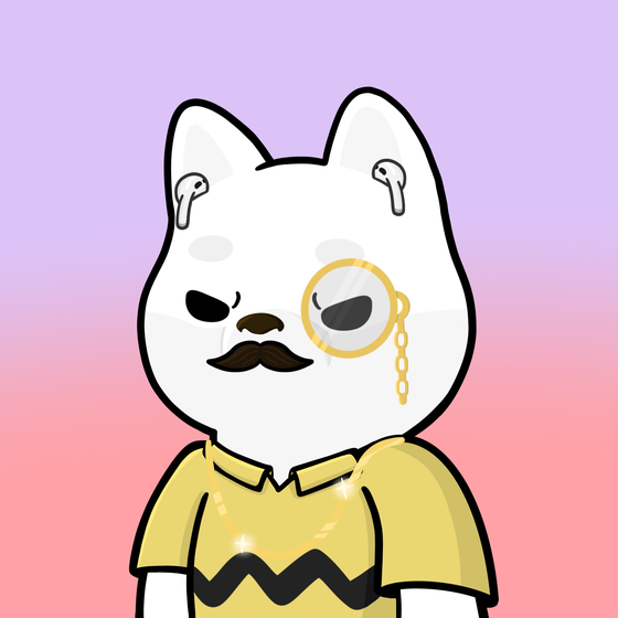 Shibe #678