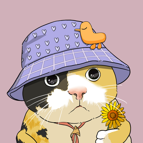Puzzled cat #5447