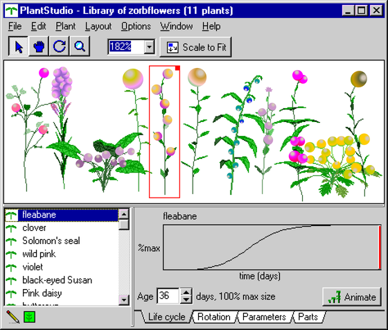 Library of Zorbflowers 14