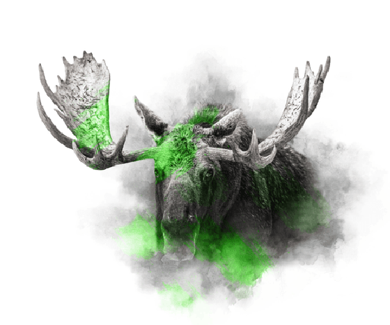 LIME SERIES - MOOSE