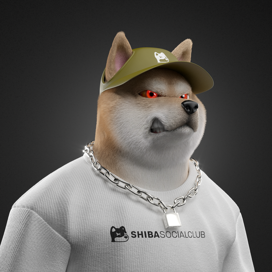 Shiba #4675