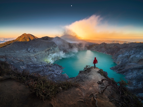 The Lost Paradise 