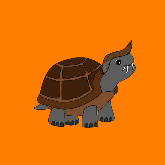 Turtle #5203