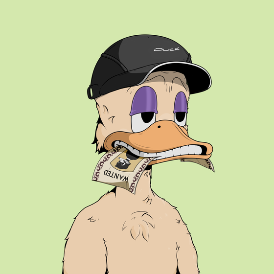 Down Market Ducks #8599