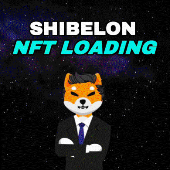 SHIBELON NFT #11