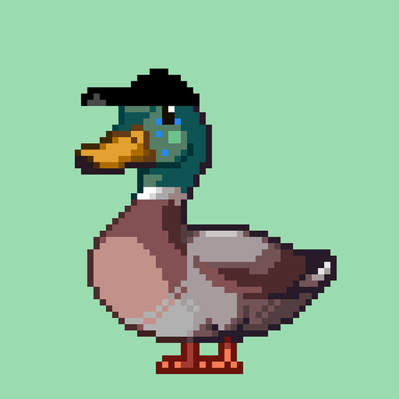 Mallard #7720