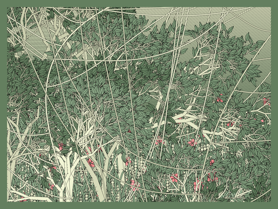Entangled #197