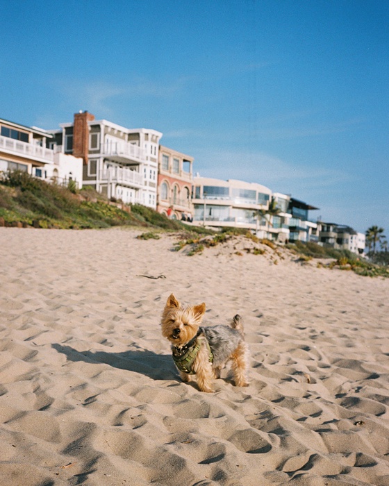 14- Manhattan Beach, California