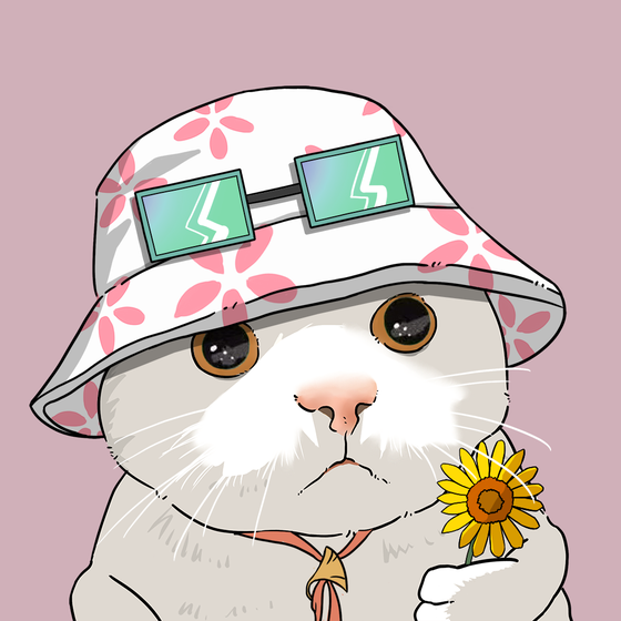 Puzzled cat #8380
