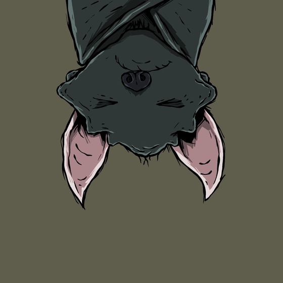 Moon Bats #8839