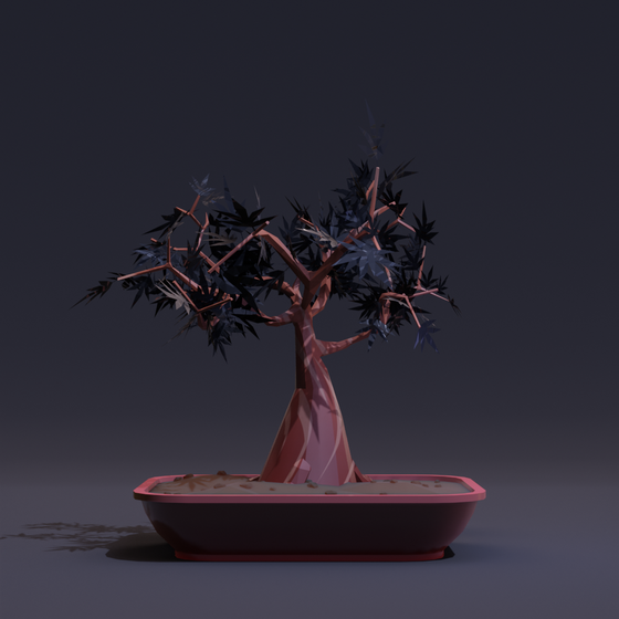 Bonsai #1897