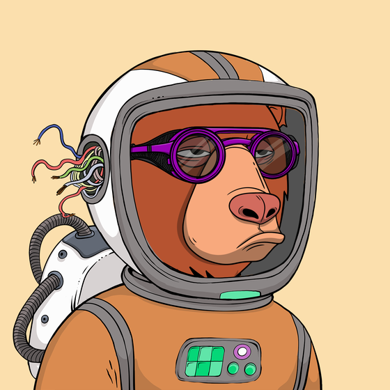 Okay Space Bear #3321