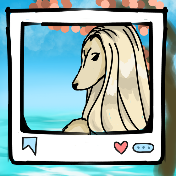 旅する犬 #1317