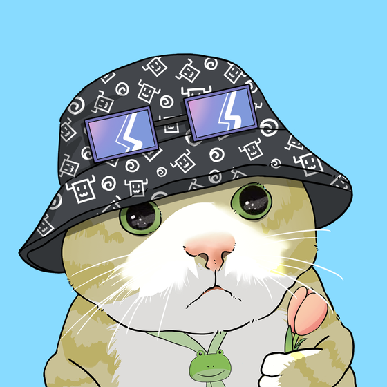 Puzzled cat #6746
