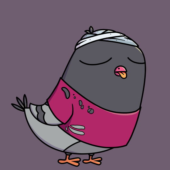 Pigeon #2440