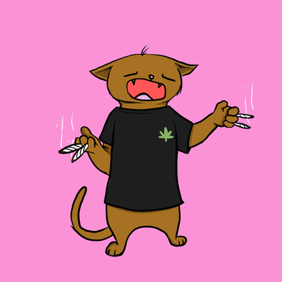 Blazed Cat #8088