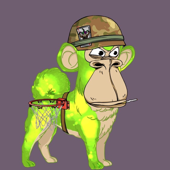 Kennel Ape #7282