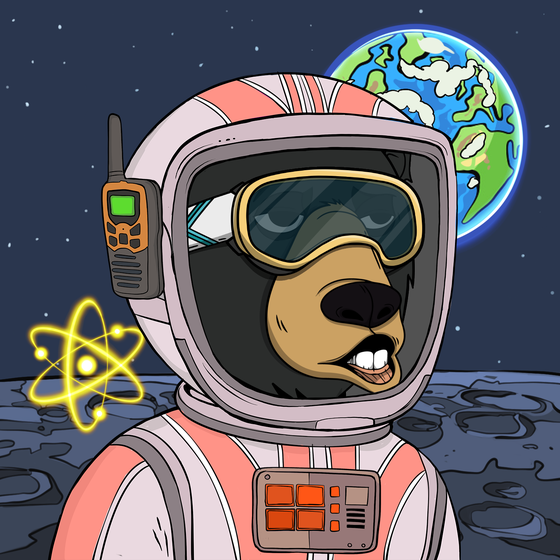 Okay Space Bear #1303