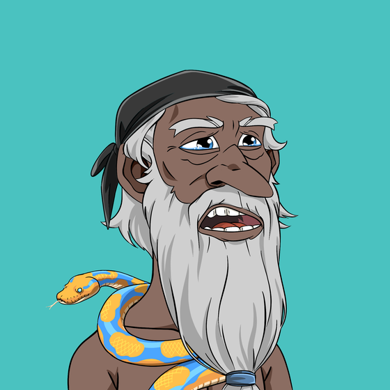 Wizard #8040