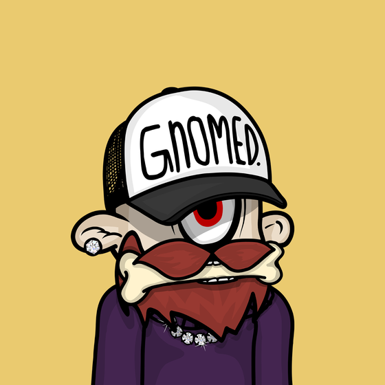 Lil Gnomie #3471