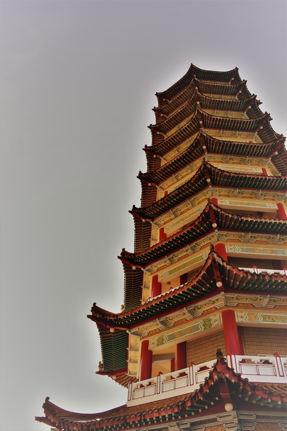 Pagoda Perico