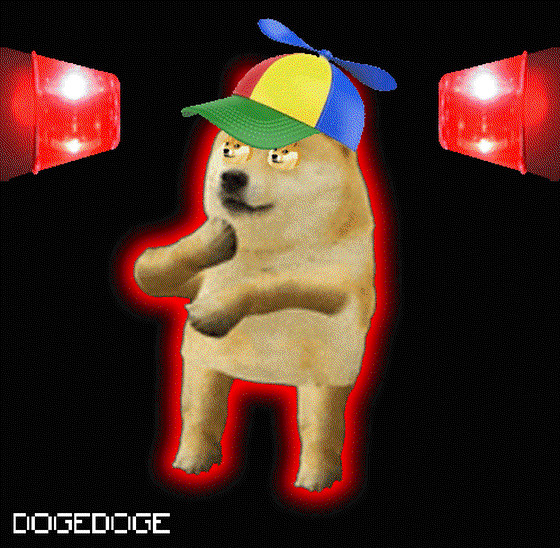 DOGEDOGE #1304