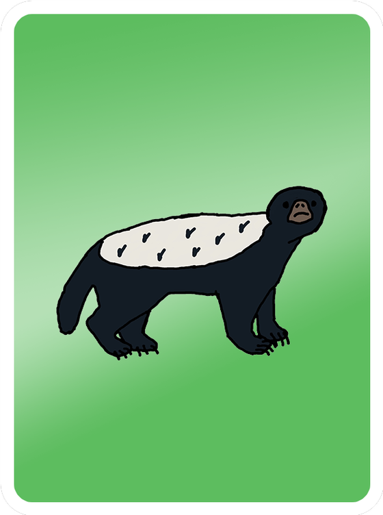 Hesitant Honey Badger