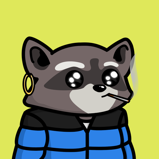 Raccools #6857