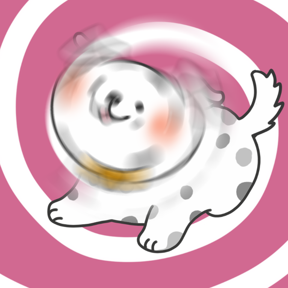 DogDrill#1042
