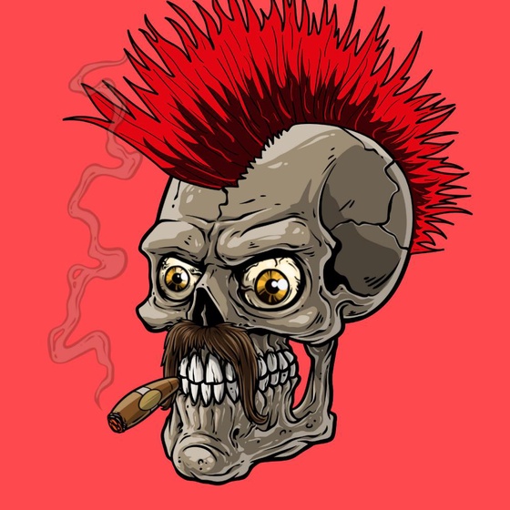 CrazySkull #2252