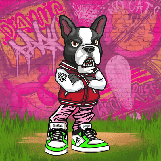 Boston Terrier 1059