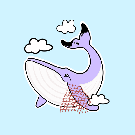 Whaledrop #682