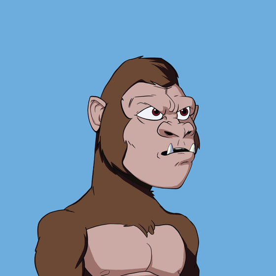 Kong #8848