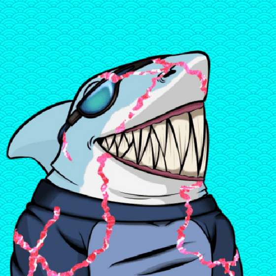 Rugged Shark 0022