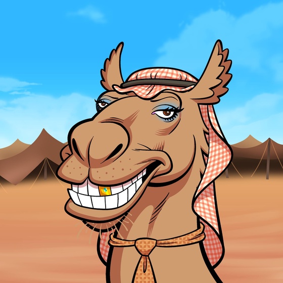 Arabian Camel #8081