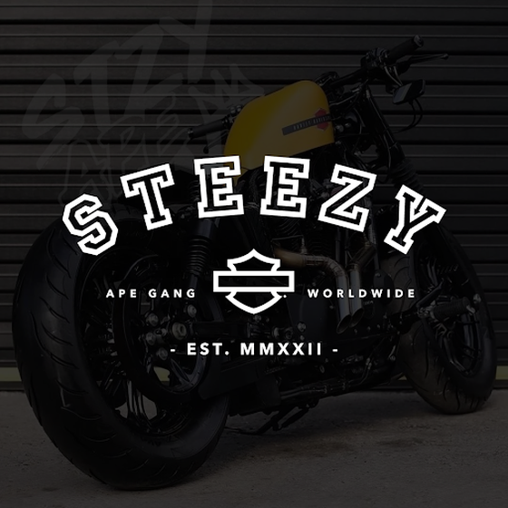 STEEZY HARLEY DAVIDSON