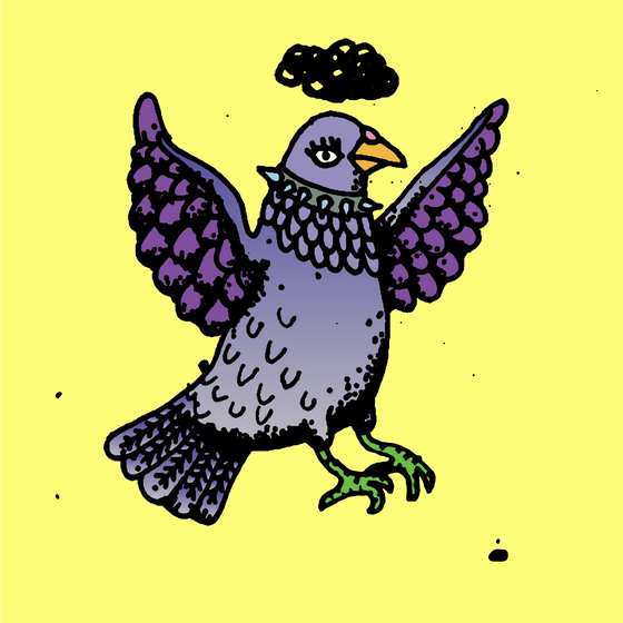 Hood Pigeon #2134