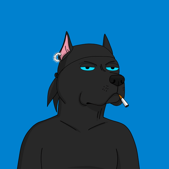 Gutter Dog #2906