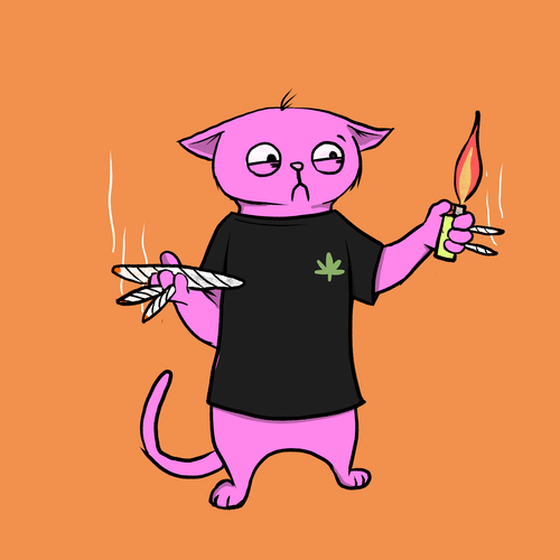 Blazed Cat #3232