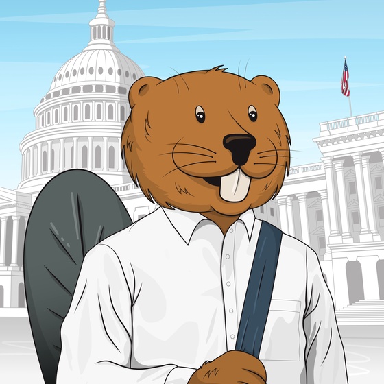 CryptoBeaver Staffer