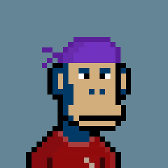 Ape #873