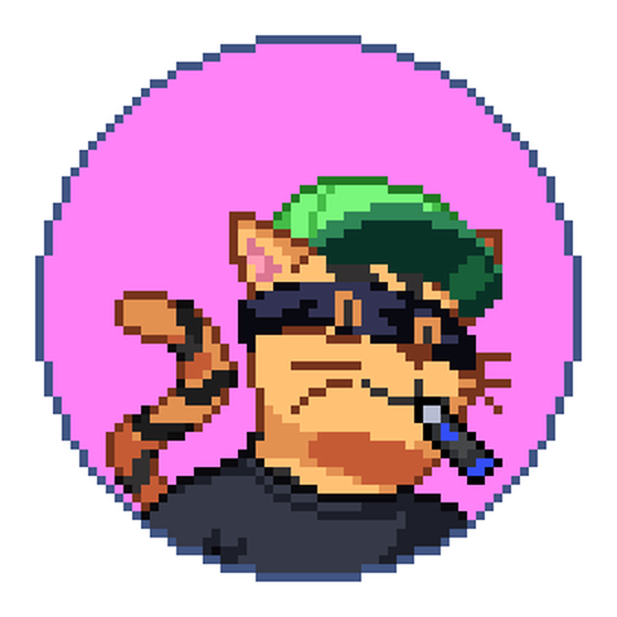 Catcoin #565