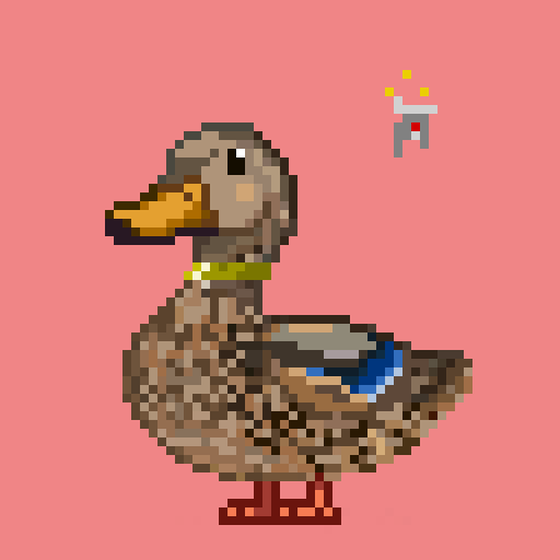 Mallard #8247