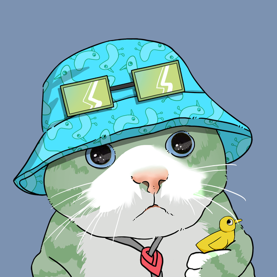 Puzzled cat #8557