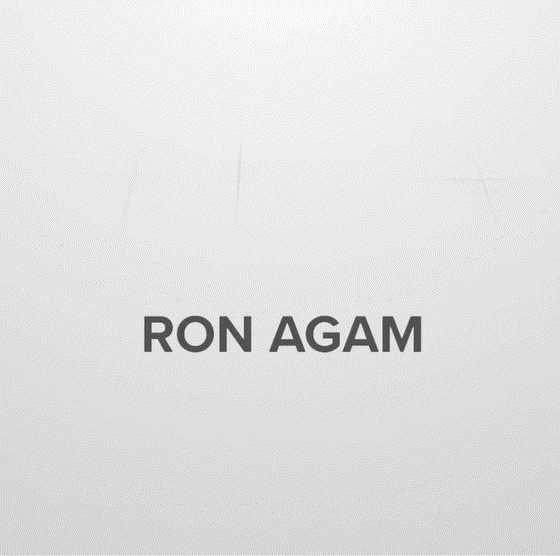 Ron Agam New York #10